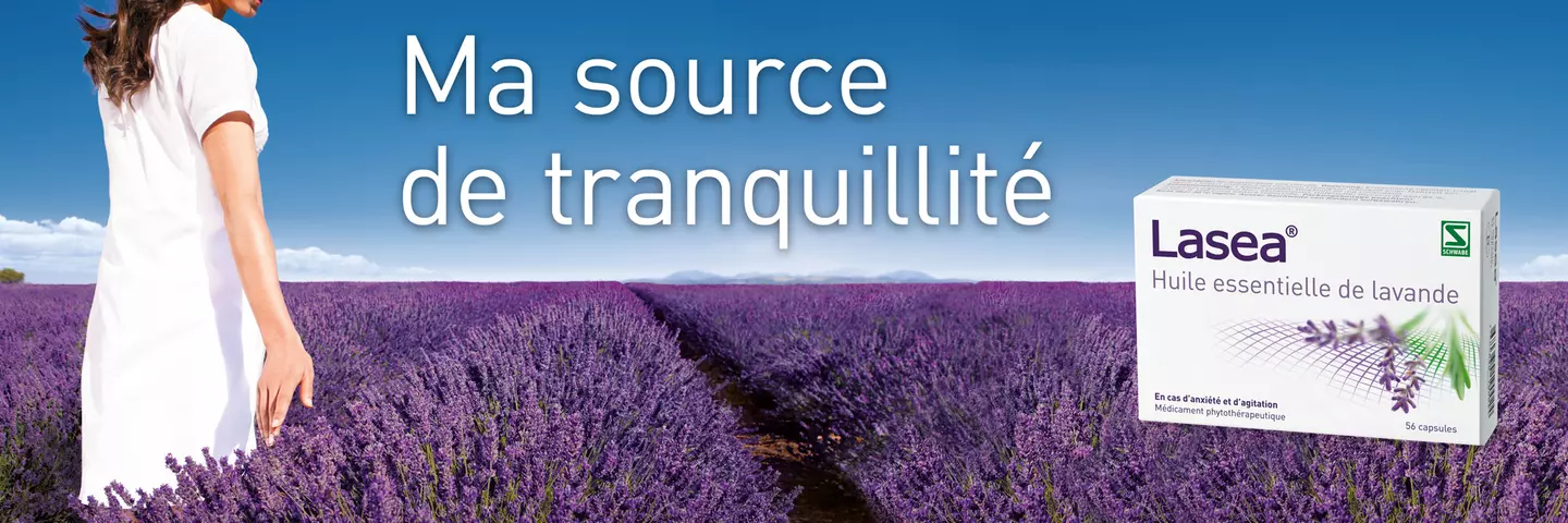 Lasea-Lavende