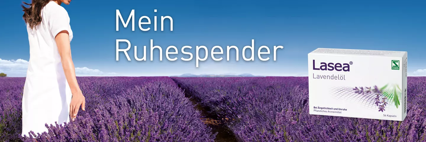 Lavendel