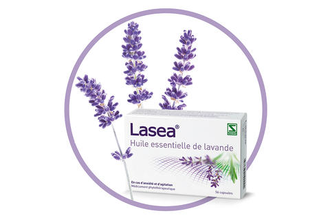 Lasea paquet avec lavande