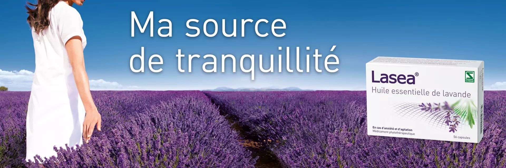 Lasea-Lavende