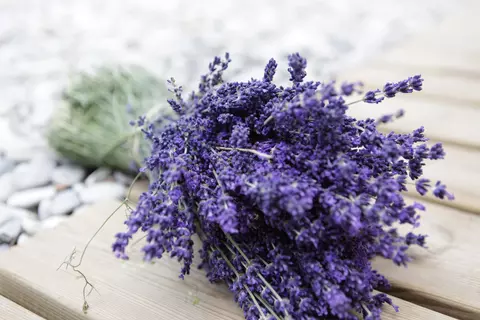 Lavendel Strauss