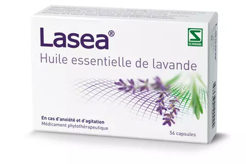 Lasea-Lavende