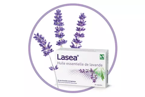 Lasea paquet avec lavande