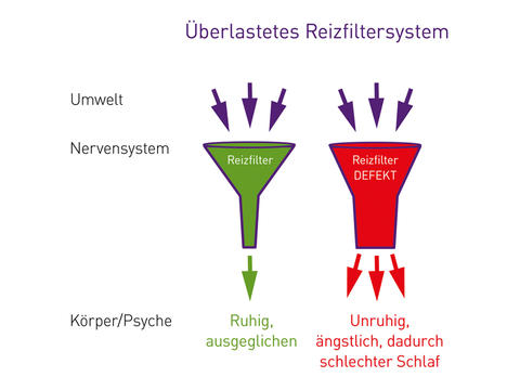 Ueberlastetes Reizfiltersystem