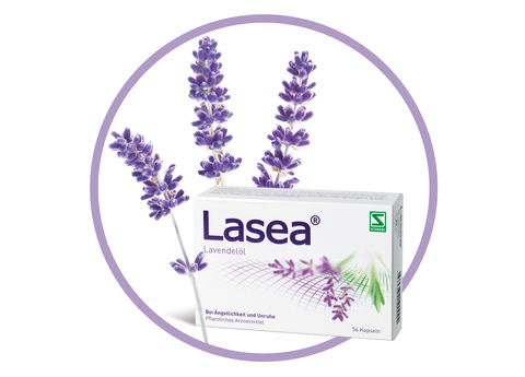 Lasea Packshot mit Lavendel
